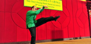 Mazi Massachi Performing 8 Elbows Form (Tai Chi Mantis Lineage)