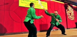 Mazi Massachi Performing Long Handle Broadsword Vs. Spear (Tai Chi Mantis Lineage)